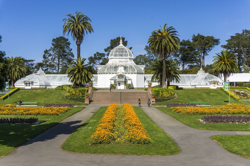 City & Woods: 1 Day Hop-On Hop-Off & Muir Woods Tour