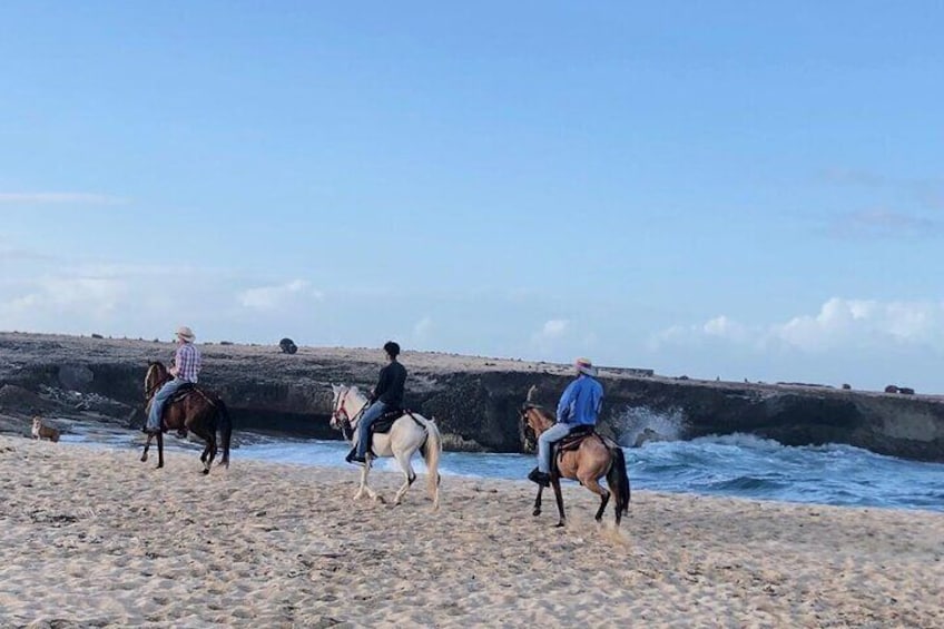 2-Hour Horseback Riding Tour to Little Natural Bridge in Aruba