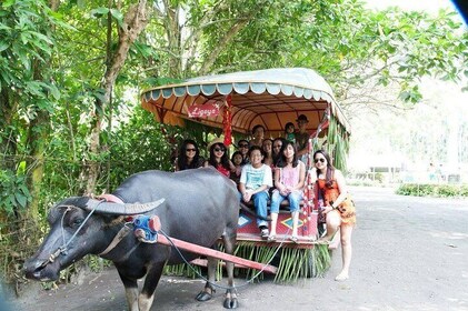 Villa Escudero Coconut Plantation Day Trip from Manila