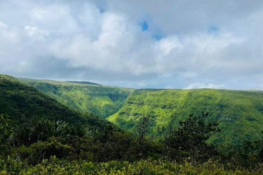 Private Hiking Experience in Black River Gorges National Park