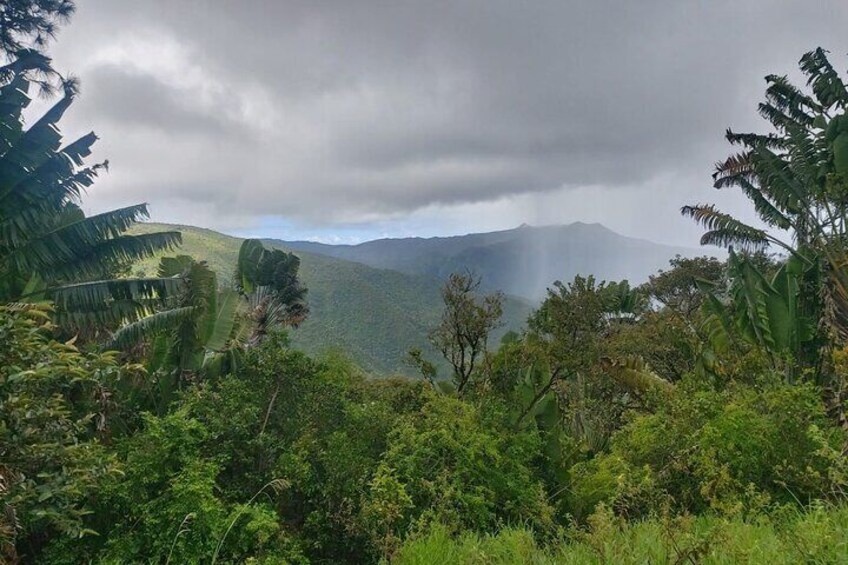 Private Hiking Experience in Black River Gorges National Park