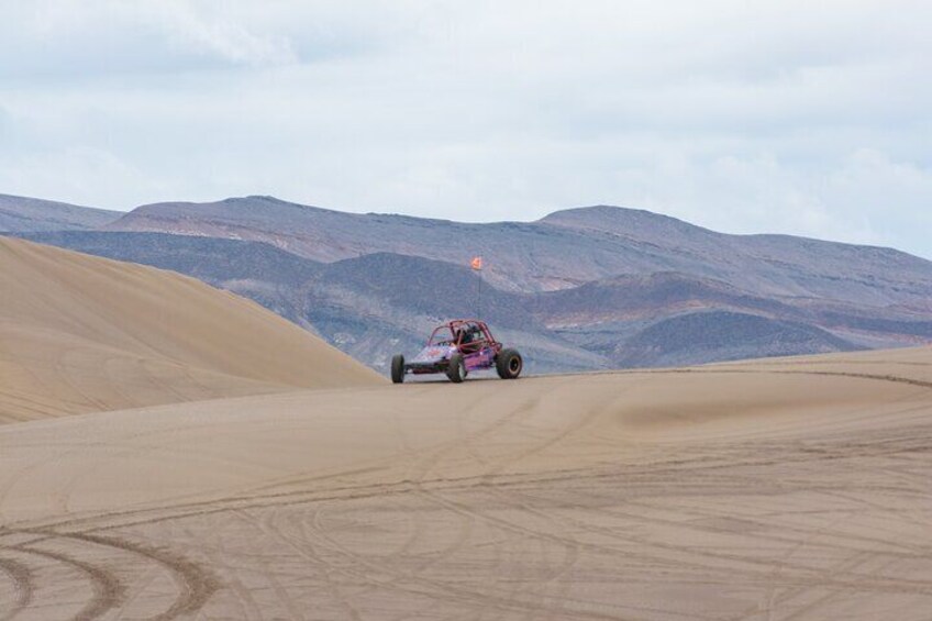 Great Wide Open Desert