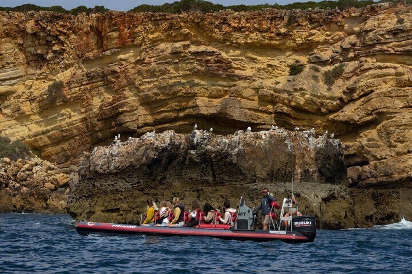 Boat trip to the Costa Vicentina Caves
