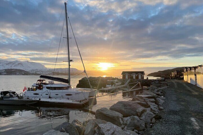 Arctic Fjordcruise & Safari in Tromso with Luxury Catamaran