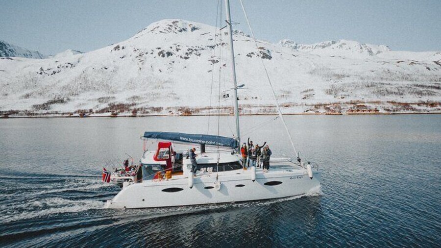 Arctic Fjordcruise & Safari in Tromso with Luxury Catamaran