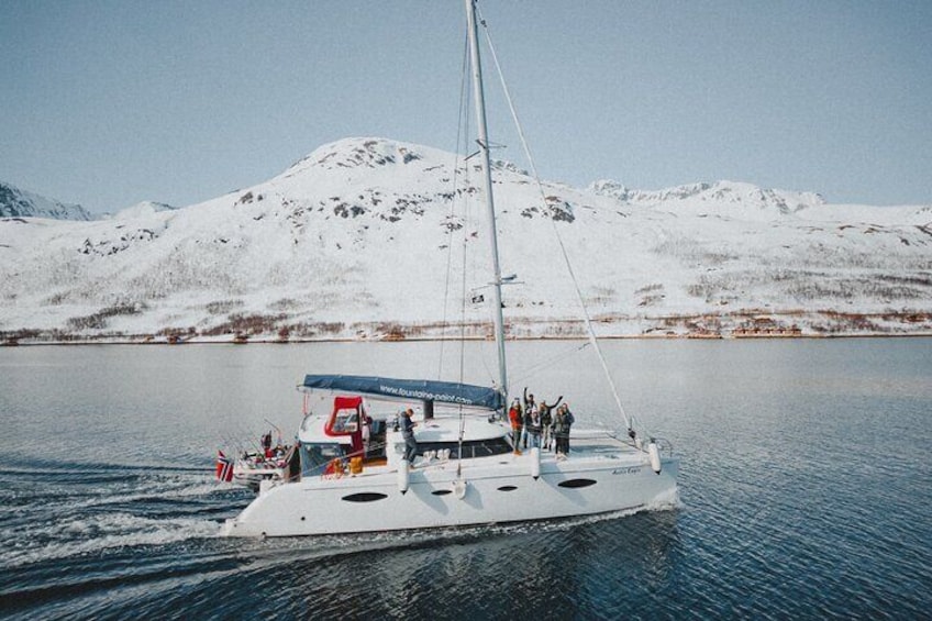 Arctic Fjordcruise & Safari in Tromso with Luxury Catamaran