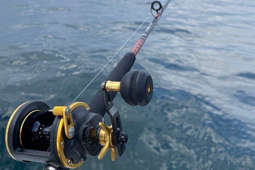 Arctic Fjordcruise & Fishing in Tromso with Luxury Catamaran