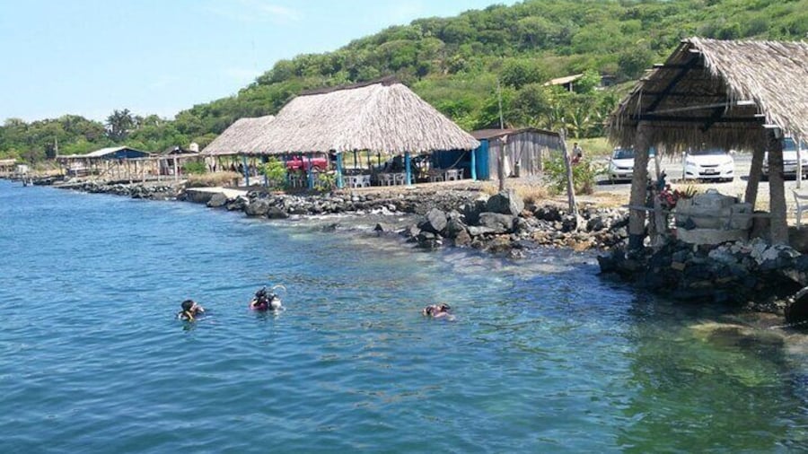 Private Tour To Port Vicente