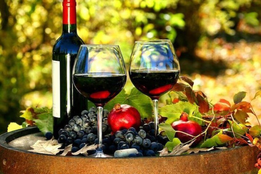 Wine testing Nice