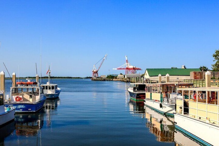 Fernandina’s Finest: A Timeless Coastal Journey