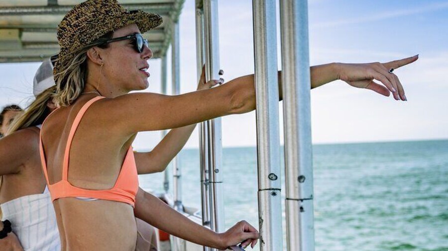 Dolphin Watching Nature Cruise and Eco Tour from Hubbard's Marina in John's Pass