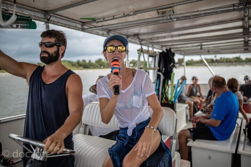 Dolphin Watching Nature Cruise and Eco Tour in Hubbard's Marina