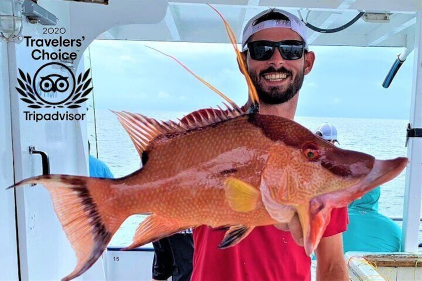 Shared All Day Fishing Charter in Madeira Beach, FL