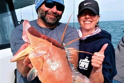 Half Day Fishing Experience from John's Pass in Madeira Beach, FL - 5 Hours