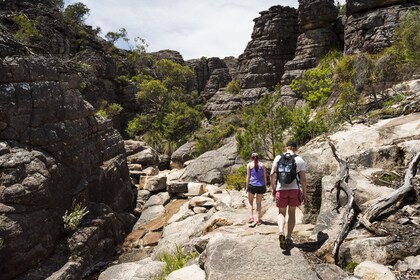 Viaje de ida y vuelta de 3 días a Great Ocean Road y Grampians desde Melbou...