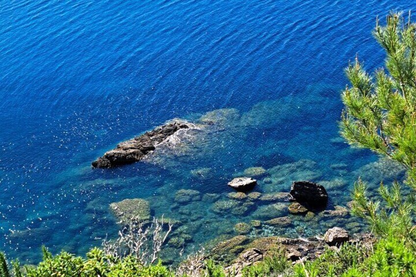 Excursion to the Wild Beach of Fonza by Canoe or Trekking