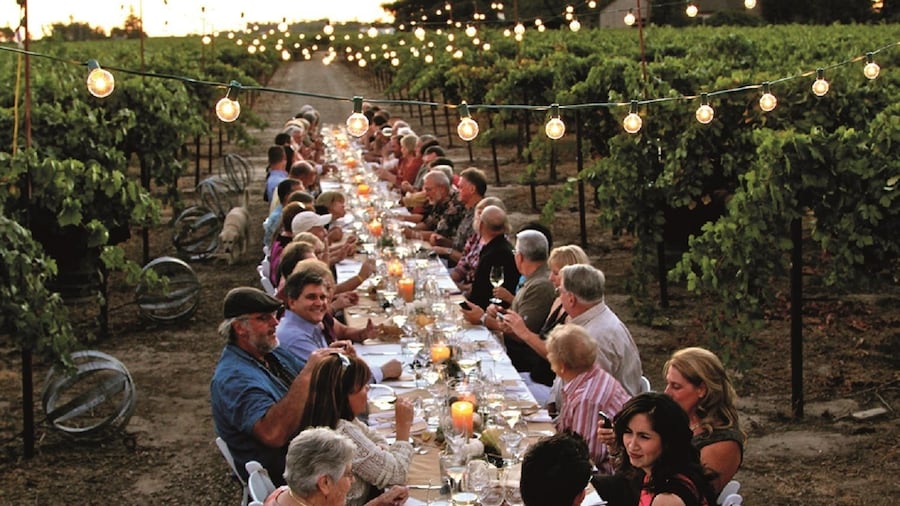 People eating dinner at a long table at a vineyard in San Gimignano