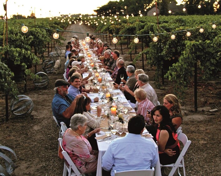 People eating dinner at a long table at a vineyard in San Gimignano