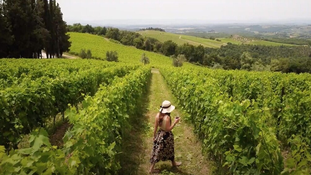 Dinner in the Chianti Vineyards from San Gimignano