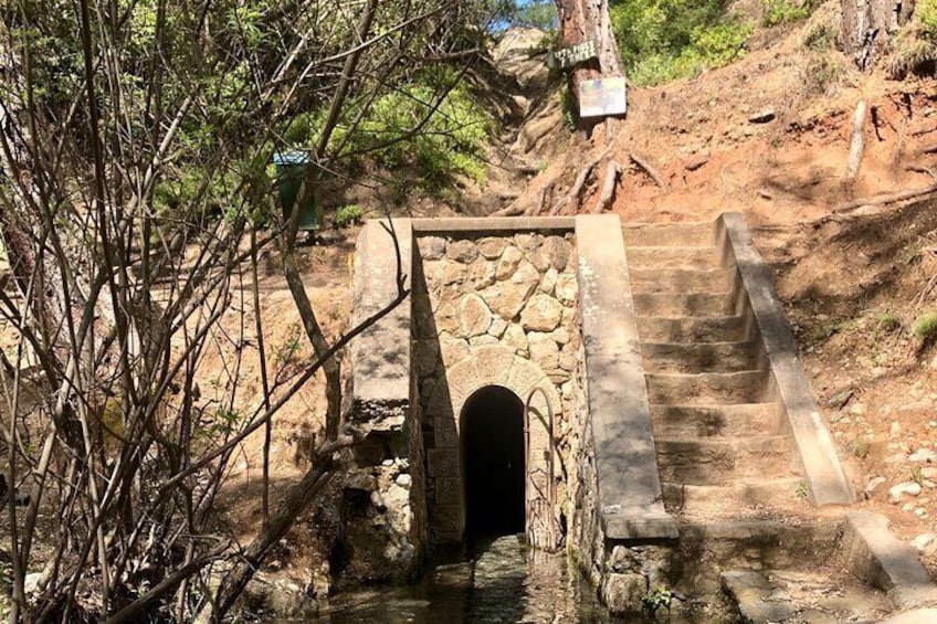 4-Hours of Activity on Foot between Olive Groves and Vegetation from Archangelos