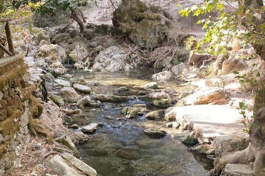 4-Hours of Activity on Foot between Olive Groves and Vegetation from Archangelos