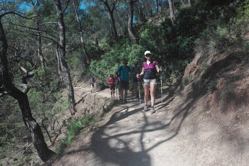 4-Hours of Activity on Foot between Olive Groves and Vegetation from Archangelos