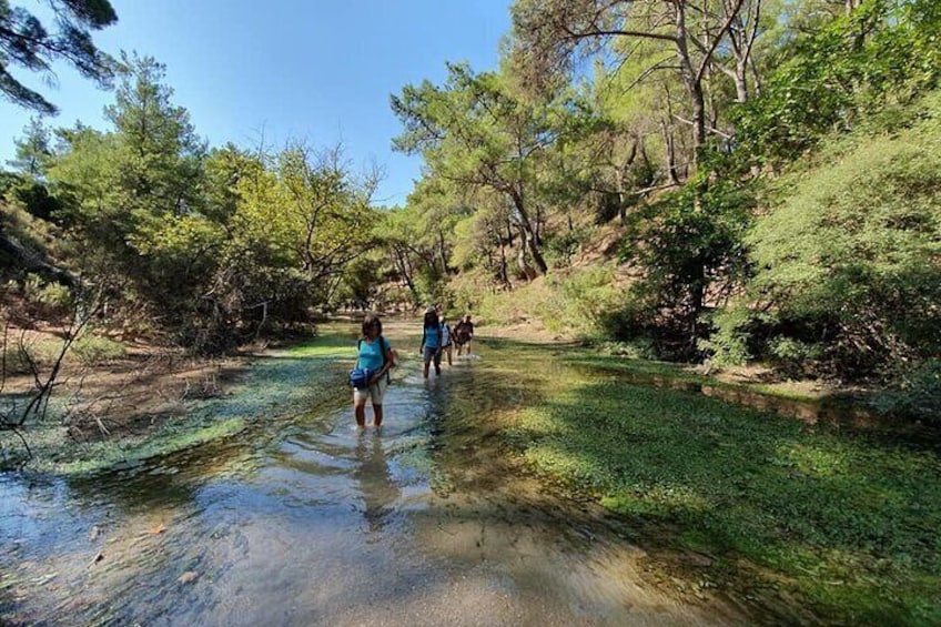 Hiking to the seven springs between olive groves and vegetation from Archangelos