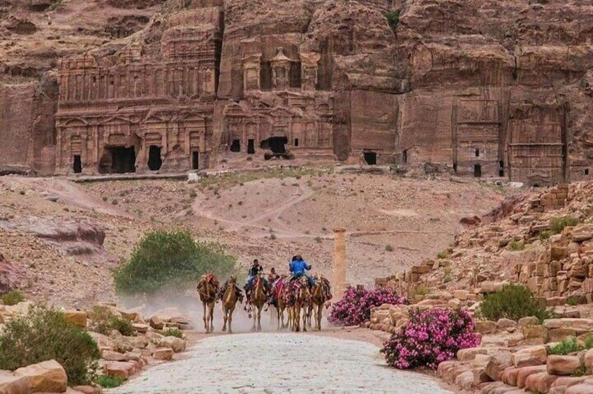 Private Half-Day Tour of Petra with Lunch