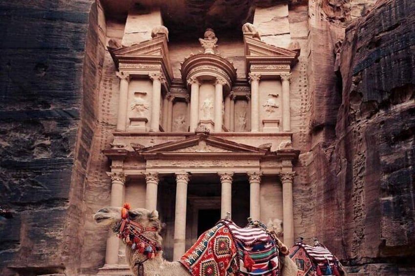 Private Half-Day Tour of Petra with Lunch