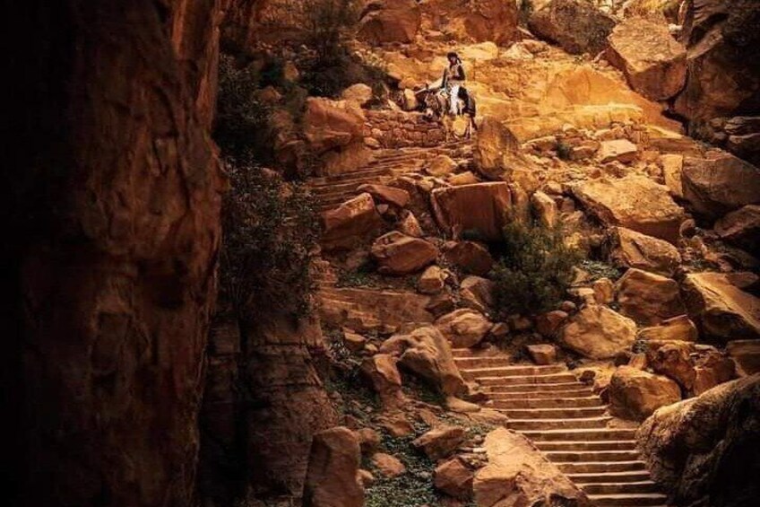 Private Half-Day Tour of Petra with Lunch