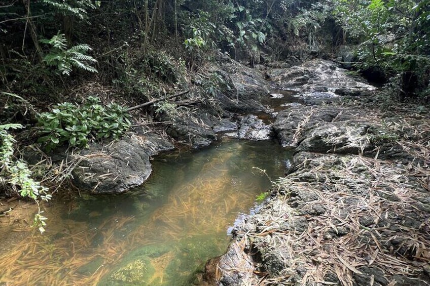 natural spring 