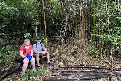 Mount Healthy National Park Private Hike Tour in Tortola