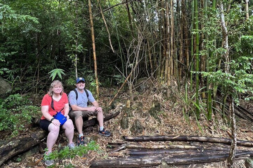 Mount Healthy National Park Private Hike Tour in Tortola
