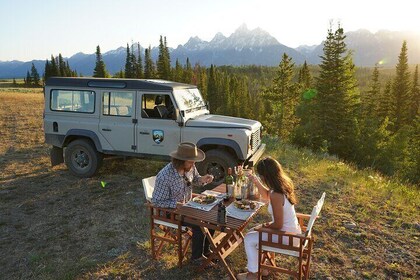 Afternoon Private Grand Teton Tour with Picnic Dinner