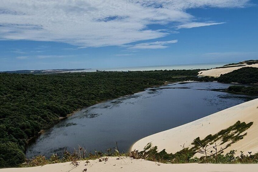 Buggy Tour (Genipabu Dunes/RN)