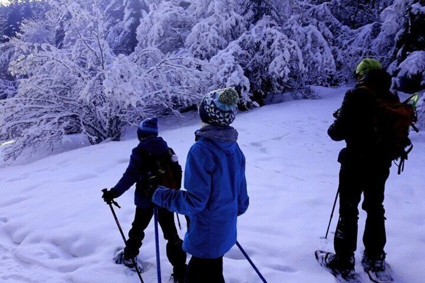 Excursion after a good snowfall