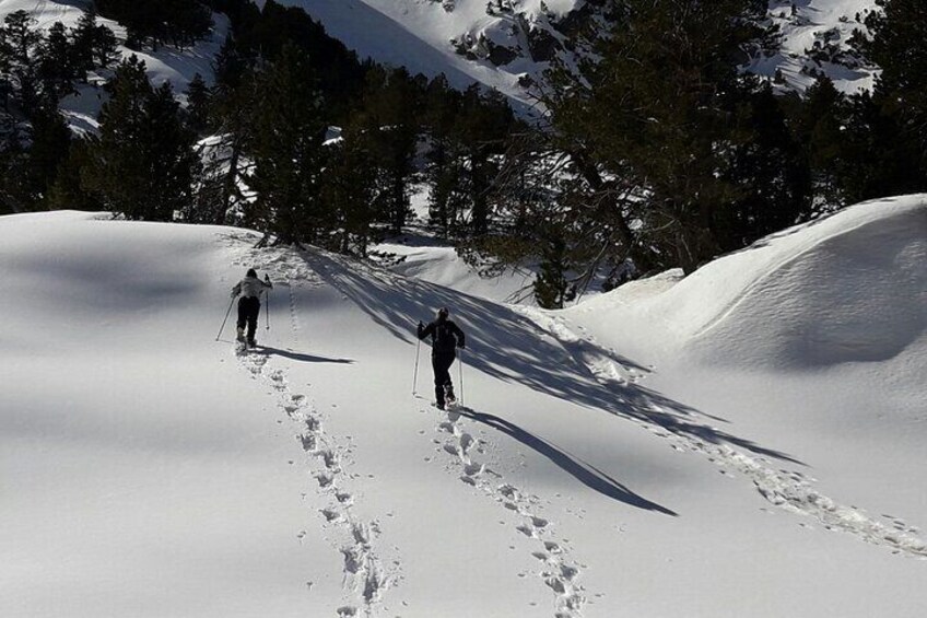 Guided Snowshoe Route in the National Park