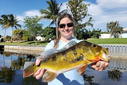 Private Half Day Peacock Bass Fishing 