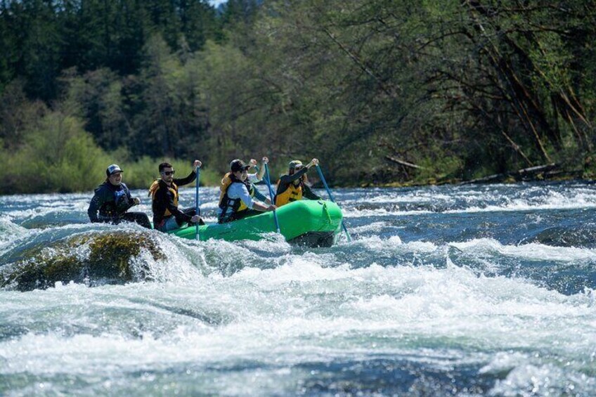 Oakridge Whitewater Rafting Adventure: Upper Middle Fork Willamette