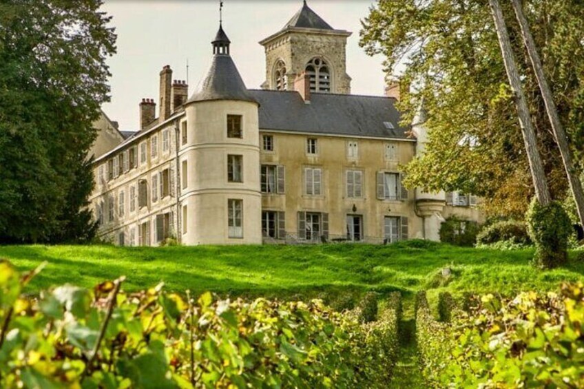 Private Champagne Discovery Trip from Paris to Épernay & Hautvillers by Minivan