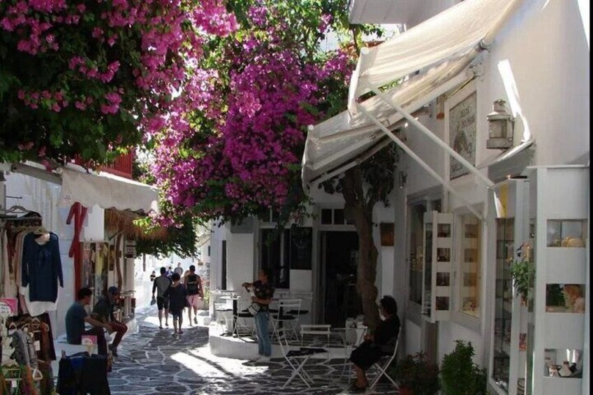 Mykonos Full-Day Private Tour