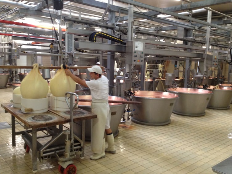 Parma: Parmigiano Reggiano Cheese Tasting Tour