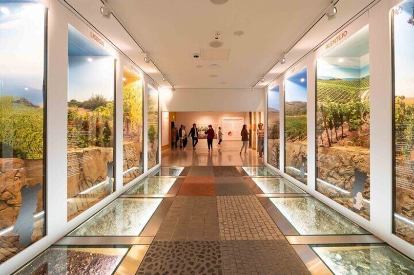 Admission Pass to The Wine Experience Museum in Porto