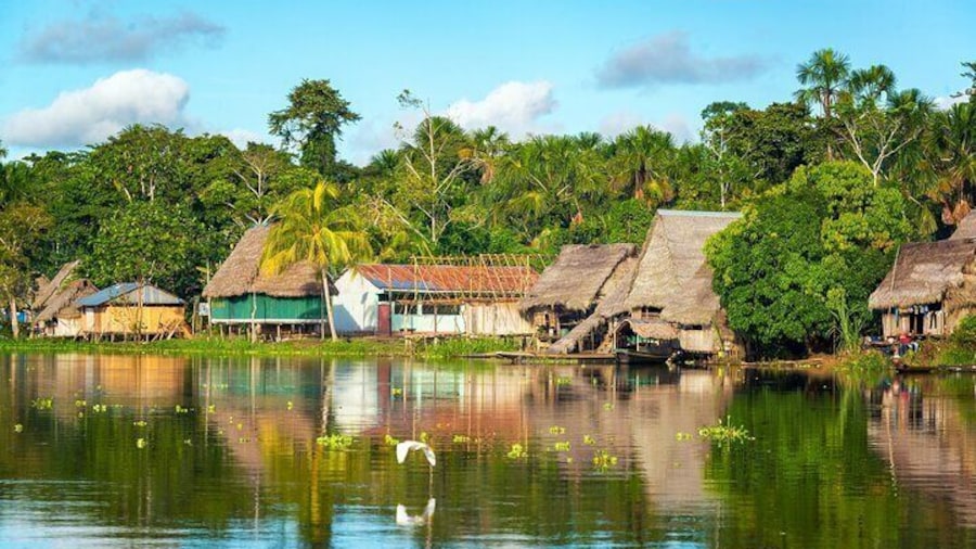 Escape to the Amazon 3-Day Tour