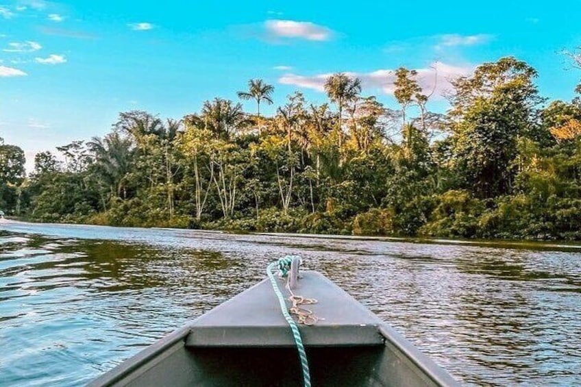 4 Day Private Wild Amazon Adventure Tour