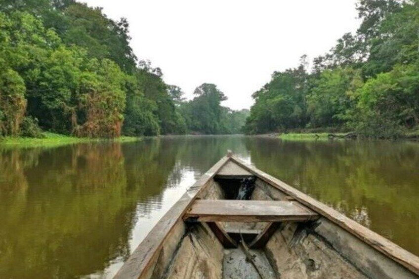 4 Day Private Wild Amazon Adventure Tour