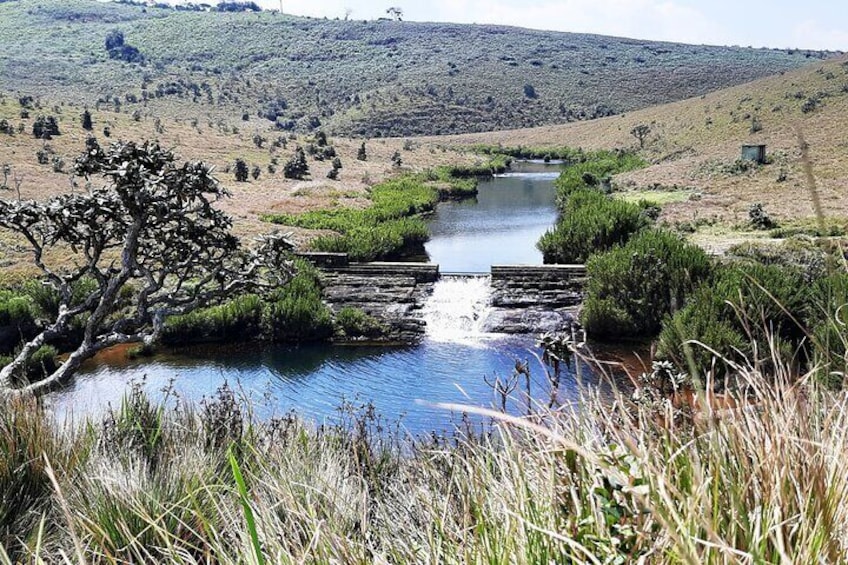 Private Trekking in Horton Plains National Park with Pickup