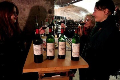 Cata de vinos de Burdeos – Descubre las viejas vendimias