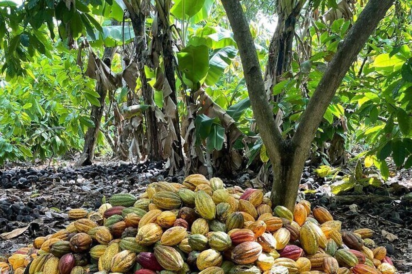 Full-Day Anamuya Cultural Tour with Lunch