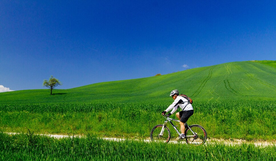 Electric bike tour in the Chianti countryside